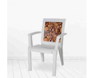 სკამი პატერნით MELISA CT006-D თეთრი