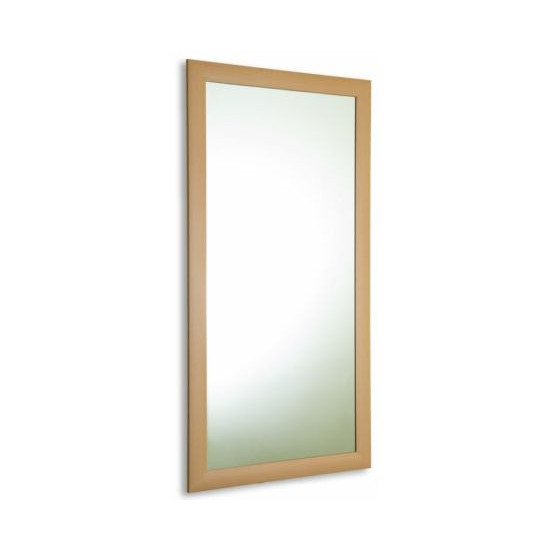 სარკე Silver Mirror Buk 410х610 მმ ავეჯი, მისაღები ოთახი კარკასული სარკეები ყოველთვის ელეგანტური, ლამაზი და უჩვეულოა, კარგი გემოვნების და დახვეწილი ინტერიერის ნიშანია. სარკე Silver Mirror Buk 410х610 მმ
