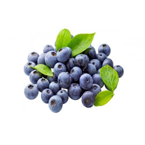 მოცვის ნერგი BlueCrop ნერგები, მცენარეები BlueCrop 1,6-2 მეტრი სიმაღლის სწორმდგომი ბუჩქია. მოცვის ნერგი BlueCrop
