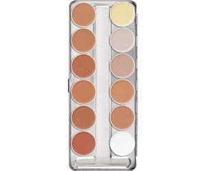 ULTRA FOUNDATION PALETTE 12 COLORS