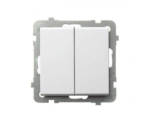გადამრთველი Ospel2R-m-00 2 კლავიშიანი