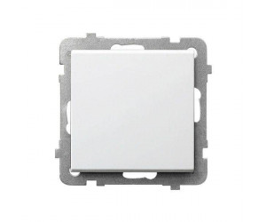გადამრთველი Ospel1R-m-00 1 კლავიშიანი