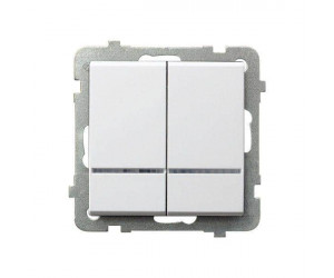 გადამრთველი განათებით Ospel2RS-m-00 2 კლავიშიანი