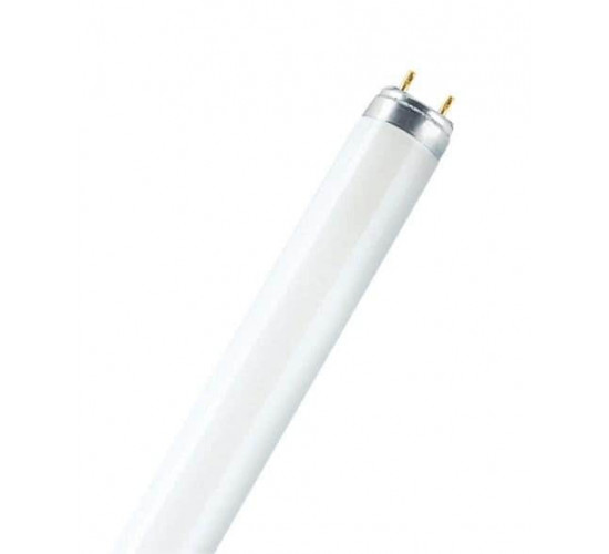 ნათურა OSRAM 4050300325774 36W ელექტრო აქსესუარები, წვრილი ტექნიკა ნათურა OSRAM 4050300325774 36W