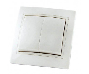 ჩამრთველ TDM 2-კლ. 10 A 220 V