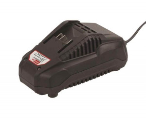 ელემენტის სატენი Raider Rapid RDP-R20 20V